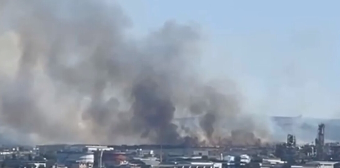 181000575-df969b46-4c77-42e1-bd62-564623007f0a