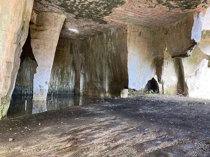 125702805-f9f1169a-1e86-4cde-83da-5b464245e179