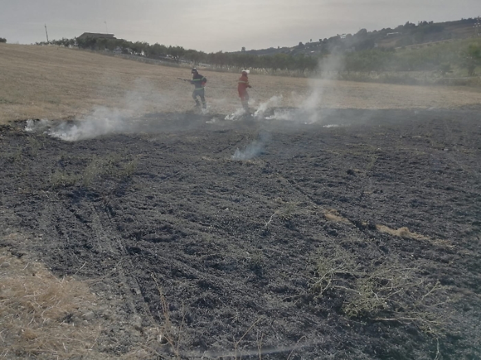 160518310-26df6ec0-4e06-490a-9c0c-e19922748d73