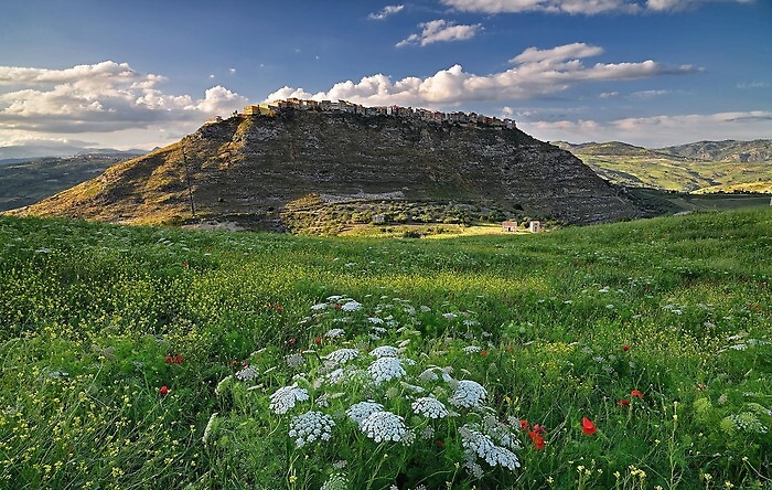 152607492-447e3b23-104f-4917-a232-fa61c86cf244