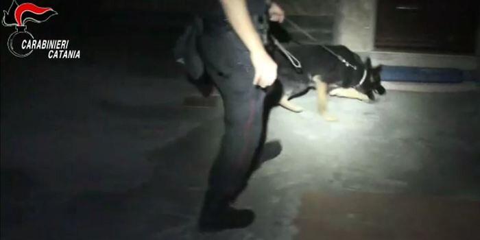 061344238-531762d6-3112-4a0a-9940-272a987adffe