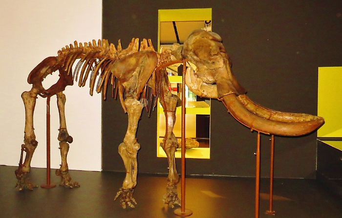 151837432-224d6874-cf22-461c-8f1f-be25592f0c2a