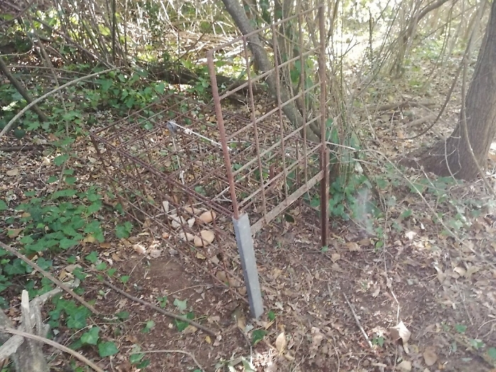 071227026-b548b972-034a-42ea-8935-6b71299d0b79