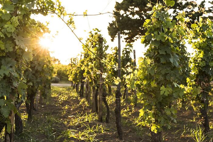 143824108-38494b60-7a01-4f99-8fd1-02036b5f1581