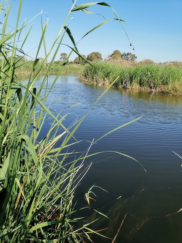 173324850-91747282-52b3-4cfb-84dd-14d2b5ce2cdf