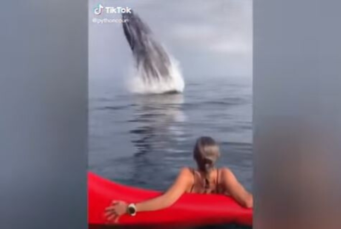 175026917-25e7401f-04f1-40cc-a2ab-ffe44371412c