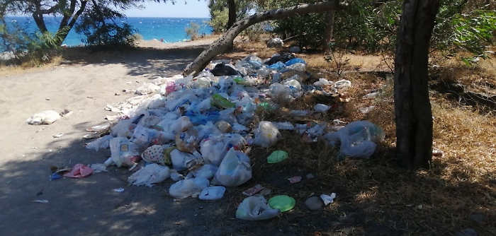 105733967-25544438-feed-4b5b-8fdf-a88d7cb36c70