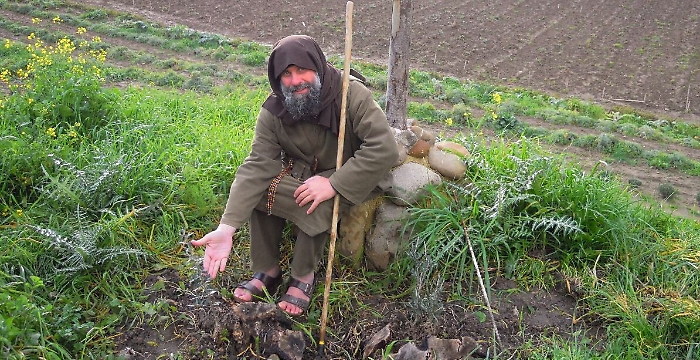 102906992-b2e219cd-841d-4822-b81b-35374a3a8dfc