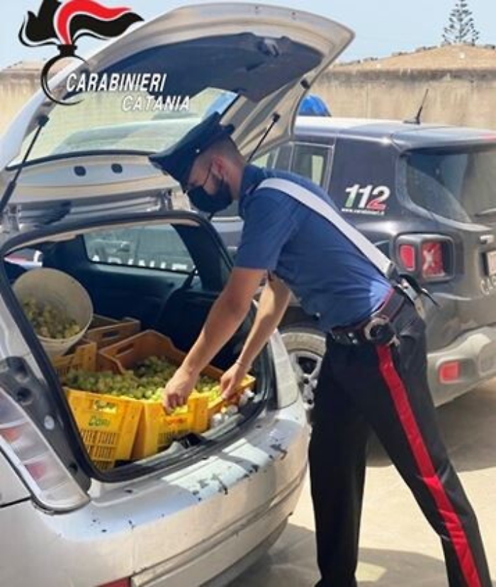 112143451-2bc66644-cc0c-41ca-a4f3-e3fd3b1dea08