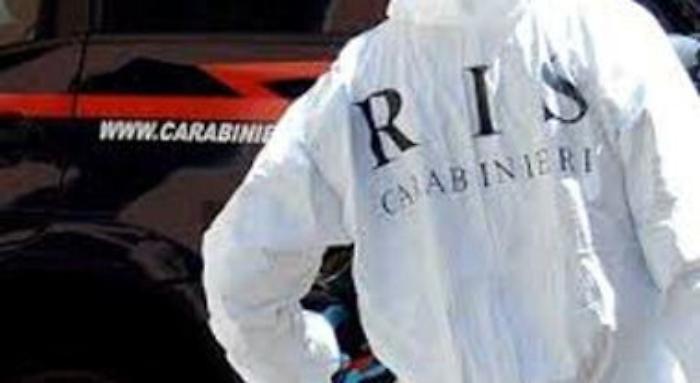 172124082-3bef1391-3380-402f-a7fc-ecf59c4c1c8e