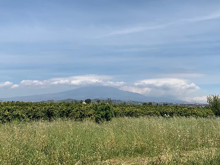 103039112-5a91ff2a-a404-403e-9c8b-814ca7626e4f