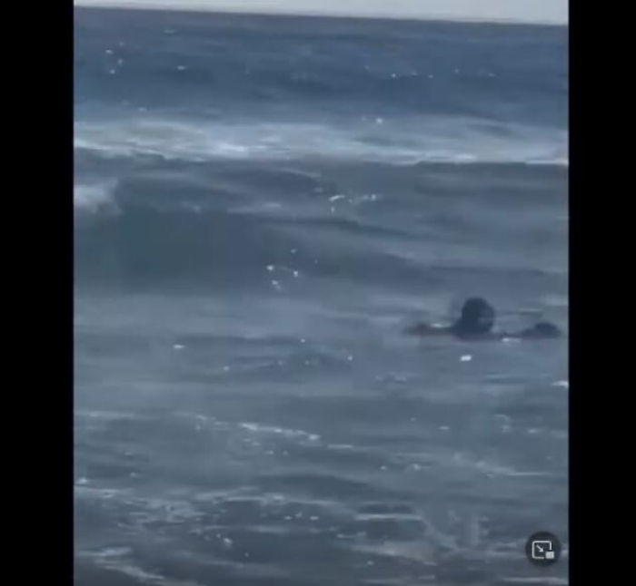 093111493-0e3fbe12-66ee-46ef-8bbf-37103fb566c2