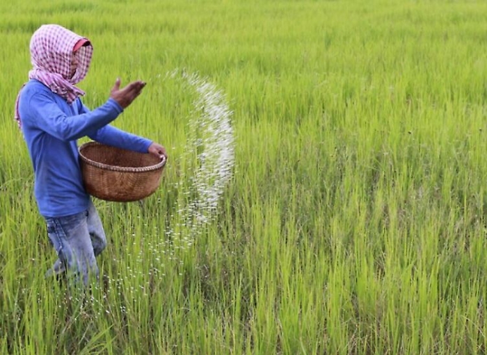 200518315-ae0ce9b9-6e26-4aa2-af87-96e7b6a915c6