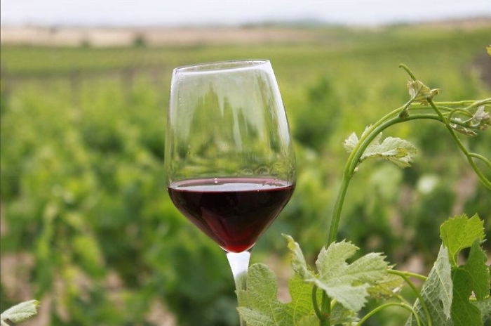 Promozione all'estero del vino siciliano: pubblicata la graduatoria dei finanziamenti regionali