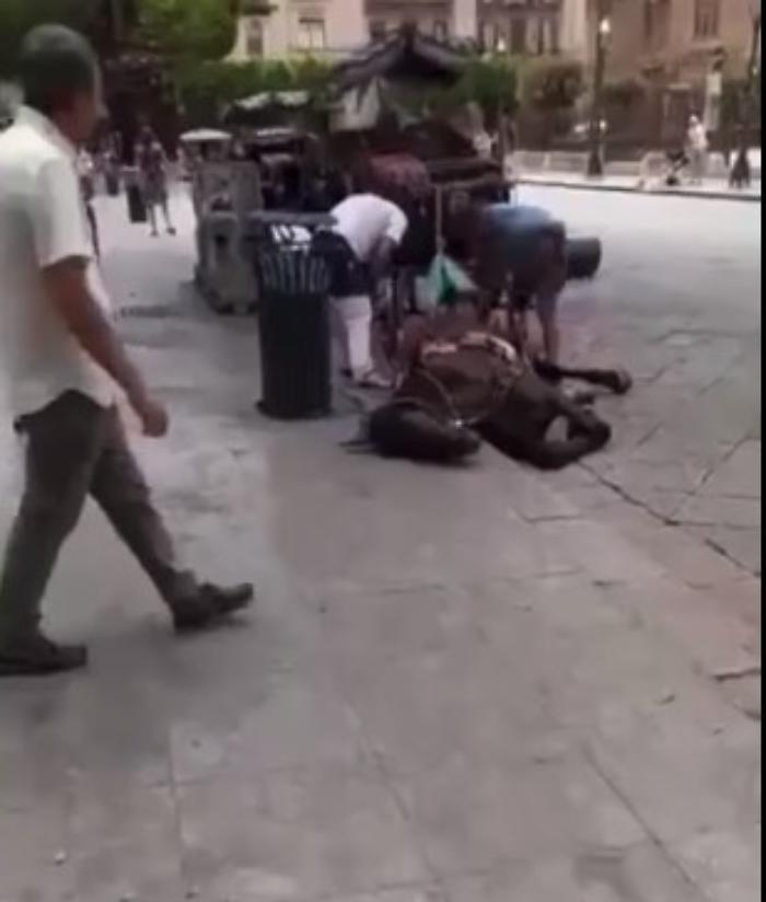 142240257-9621158a-9c7b-4ab2-9e5a-e224b35a25b3