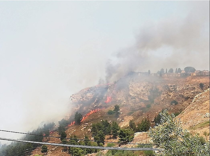 093022622-0579c7d0-8ca6-4802-851d-8122ef9c58f6