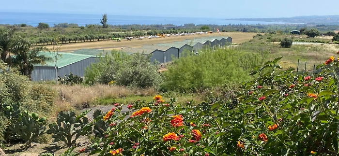 153332693-ef7f69de-5be2-4636-9060-23cbe2ffe0e1