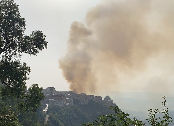 161527870-eea72137-096e-4bb0-a11c-cc16fc6fc3a4