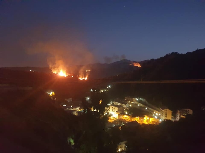 124652782-b5aeb0de-e87c-4d4d-8f7a-685e6cfb95b1