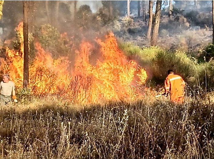 181715713-e66bbac6-a31c-42d3-9a9a-2f6bb15ebdd4