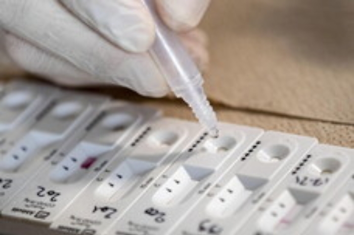 115400727-e2d669d6-e32a-4983-851f-1e940174dd5c