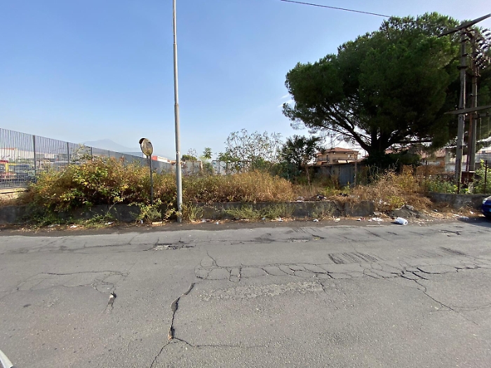 161941954-8fbf5d37-40b7-41c1-8d99-92a096da68cd