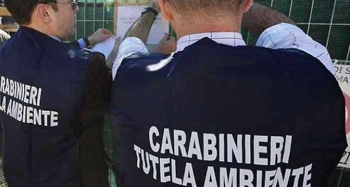 095507778-ab8804c8-9312-47d0-a141-04d265cf1027