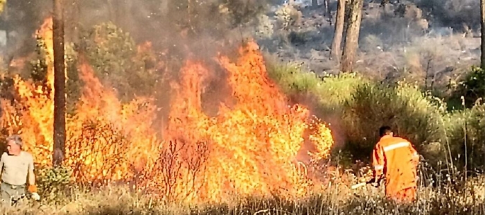 094548426-f65a0ffe-440d-4e2e-ab96-6bb9ef2416e6