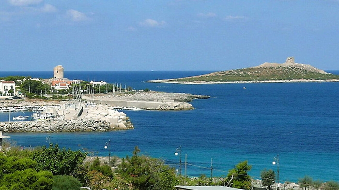 113131082-187e2892-44f1-4ccc-aad8-73a3b2bec0b5