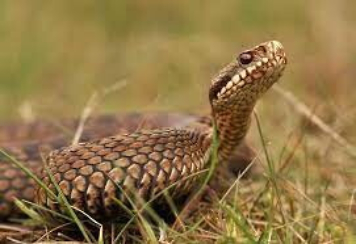 141805888-bf13e5f7-f58d-4cc4-983d-8244409f6e83