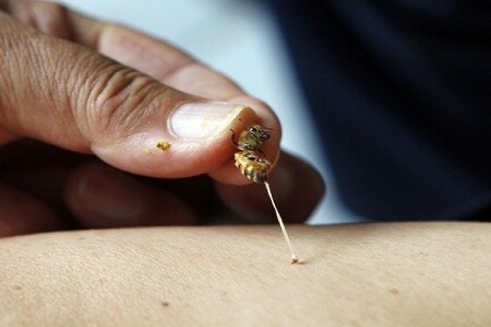 144313615-dad890e7-b44f-46bd-b515-c2fa13a96c83