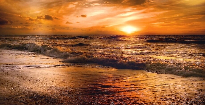 105342872-0c2d2f96-f47a-40f9-9b8b-405d7b310e55