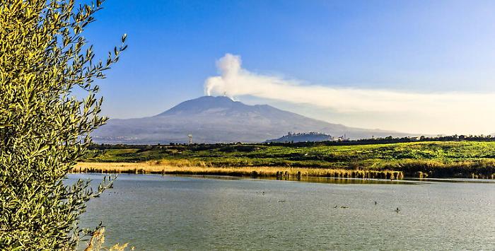 161000499-745d5c35-8b3b-4bcb-afd9-69118240e7ab