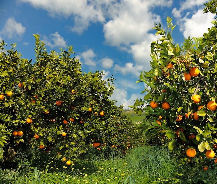 093946849-4f234ba2-d2a2-40e4-895d-d8b25bed9817