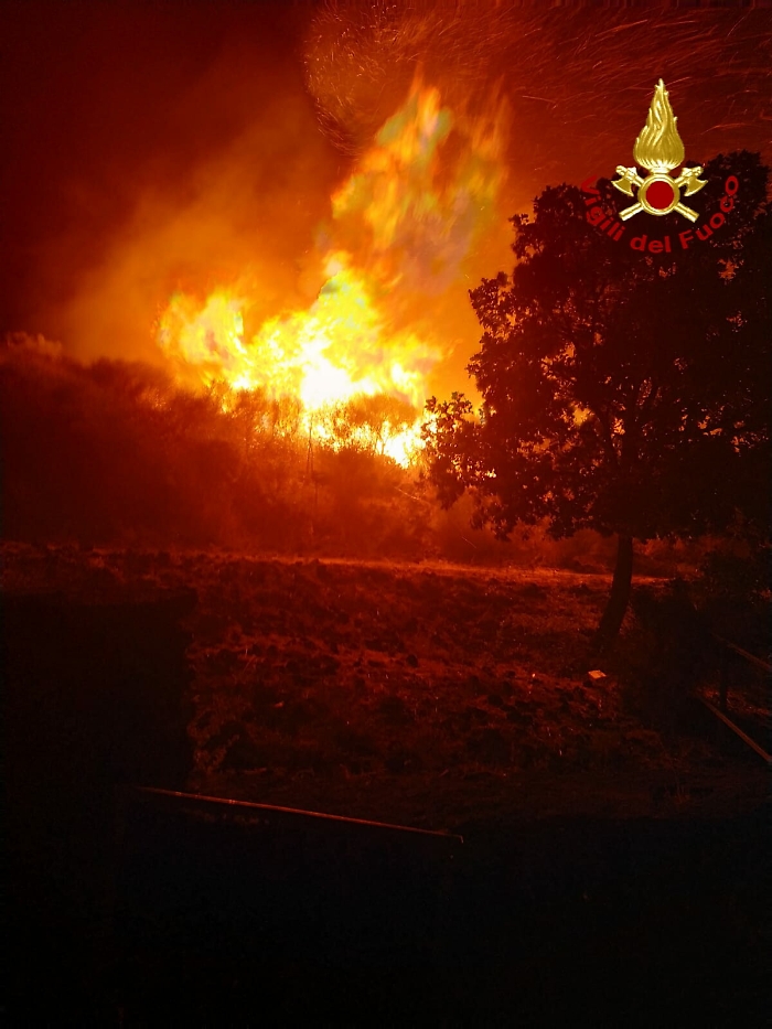 152649346-c2d62f53-c279-4dd3-92a9-4fef3c36ebf1