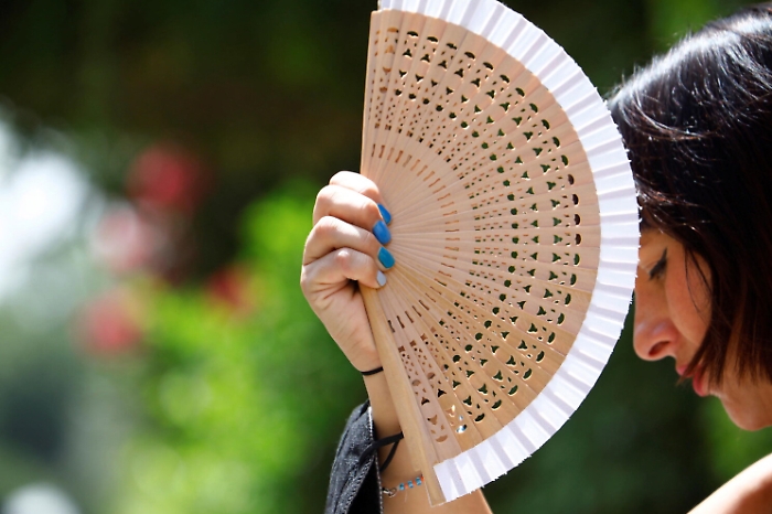 182545001-53f59ebb-bc93-4f1e-a898-092ef6c3425e