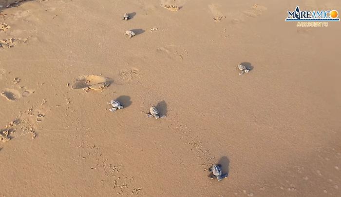 153403620-9fe723a0-aaae-4886-8889-08a39be02236