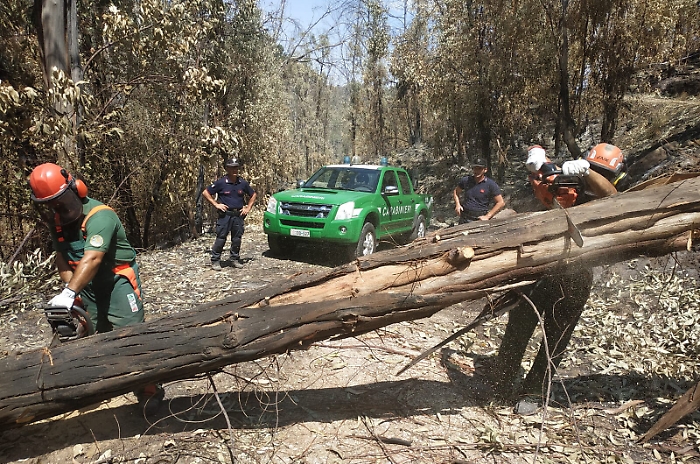 132351979-32ca9e4f-4c3f-425d-96e3-2a4144e61beb