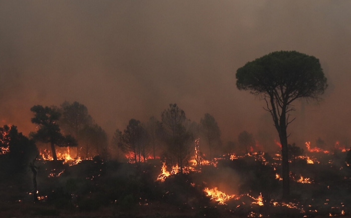 190758745-5348e2f4-7e9c-4540-875a-ce272909179d