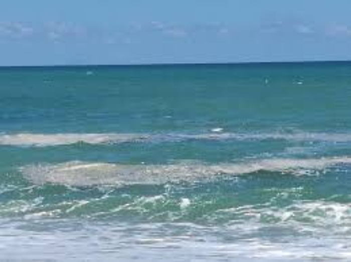 071720993-8b2cc16c-54ec-4178-9902-a214761d0c62