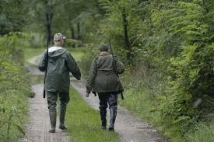 115832566-e750d862-f6bf-4379-988f-ea5648fbfd57