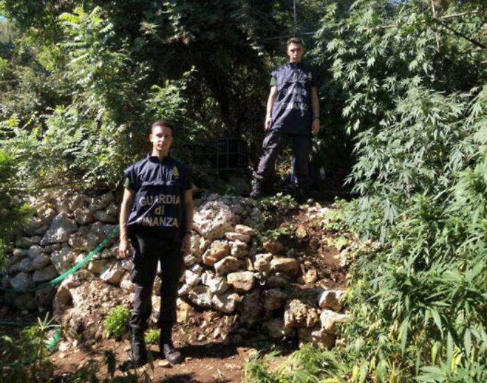 063259521-d76e2244-8b58-4743-b863-476e72d24a2d