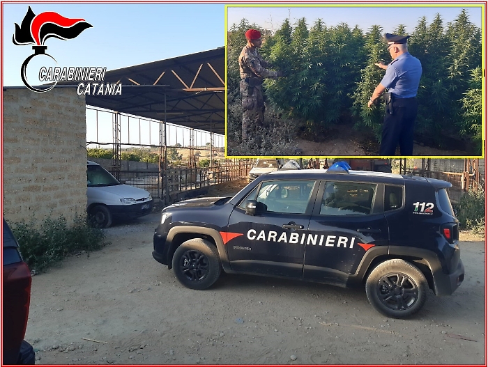 101736700-ec3625d9-023b-4a17-ac37-1cc5841324f3