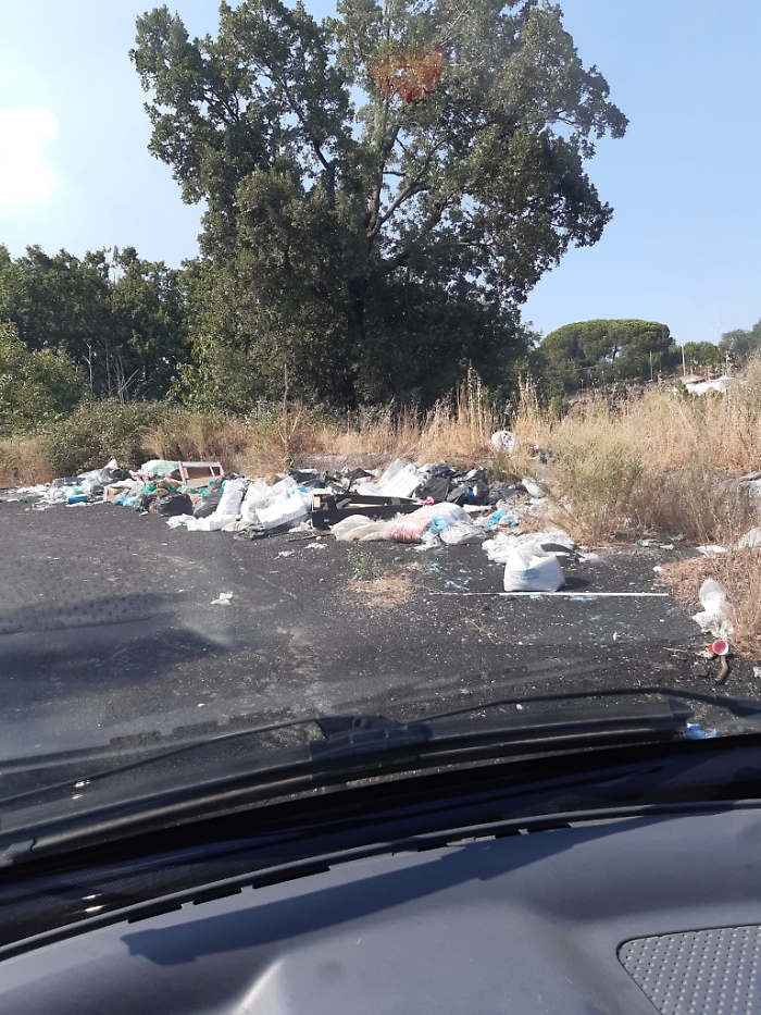 151203230-cf2718f0-155f-4937-a649-5ec062864315