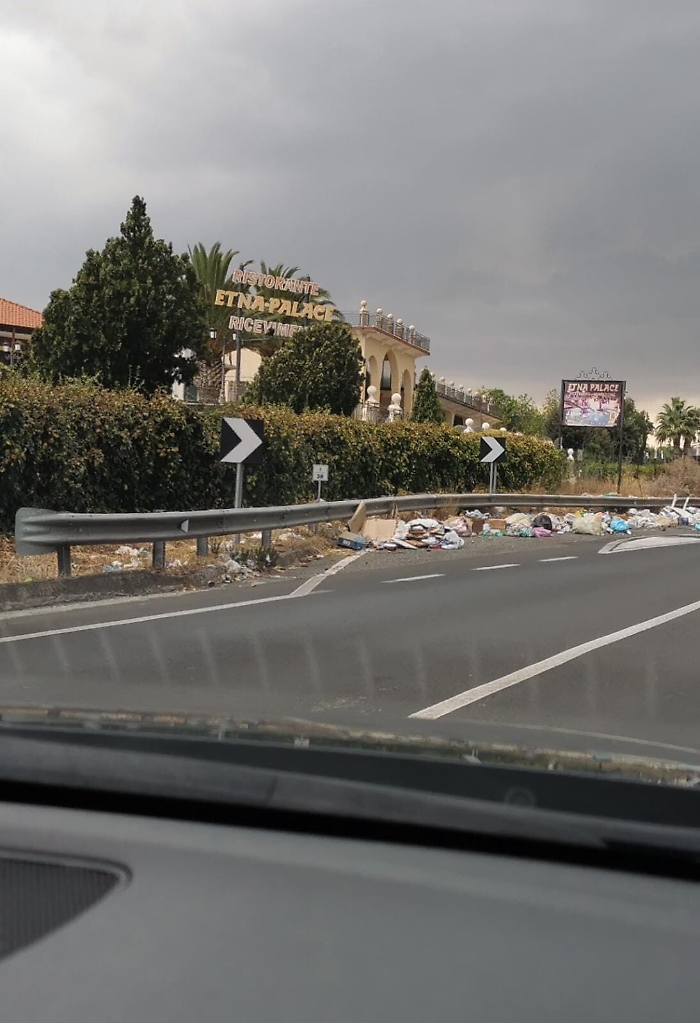 154955552-c3162398-eac3-41bd-8792-35cb4e08459d