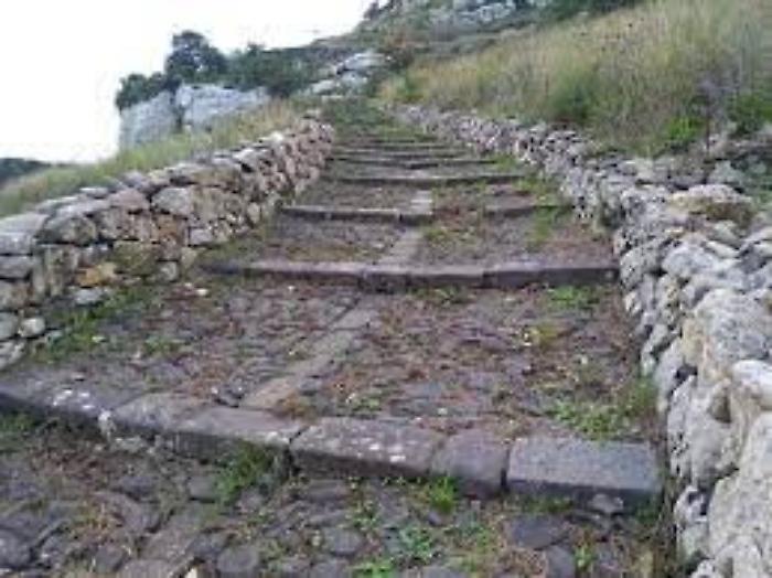 171144645-badd21a6-f8ff-4223-a3bb-92f5427e4e2f