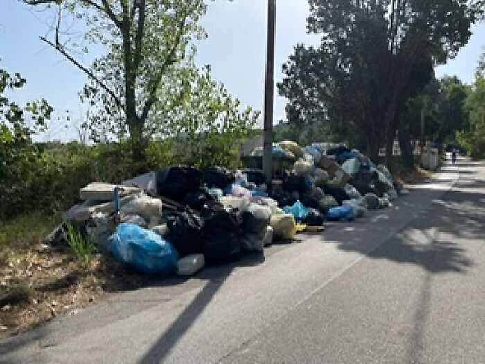 113902989-935f7885-9af7-474f-a4b6-022cb0f23b3e