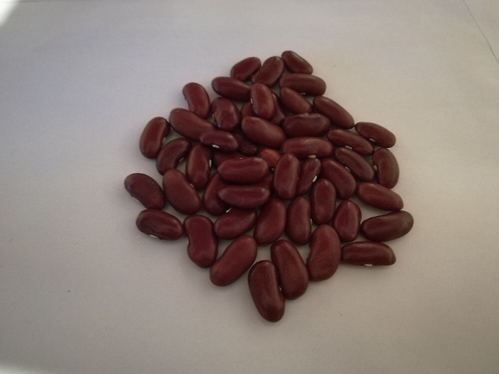 124110227-3ea21ce8-cf68-4513-9865-6cd988dd71b6