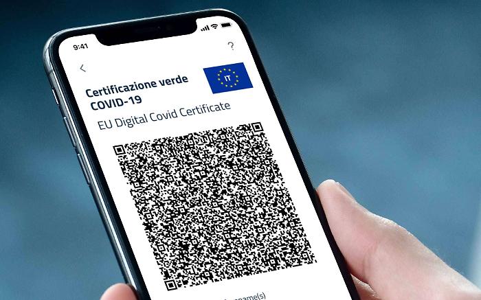 181417006-769b9c1c-e49e-4bb1-91d6-26ff508115ec