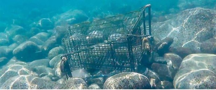 144345983-62f14ff9-05b2-4c23-9165-c8fc3e116cd3